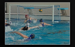 waterpolo / waterpolo