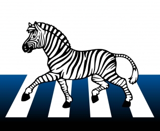 zebra / zebra